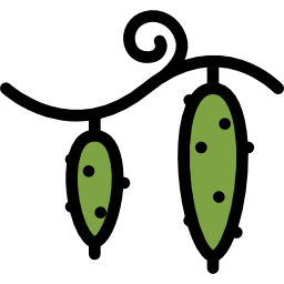 Cucumbers icon