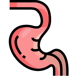 Stomach icon