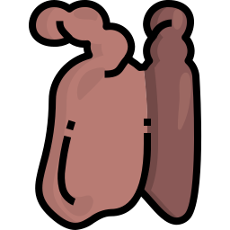 Thymus icon