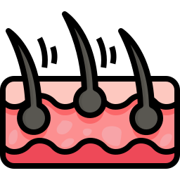 Epidermis icon