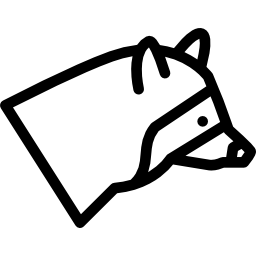 Raccoon icon