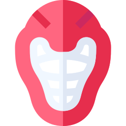 Helmet icon