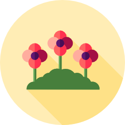 mohn icon