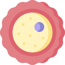 ovum icon