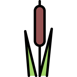 Reed icon