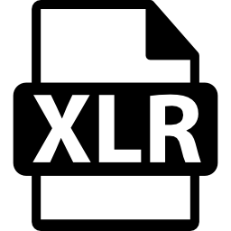 variante de format de fichier xlr Icône