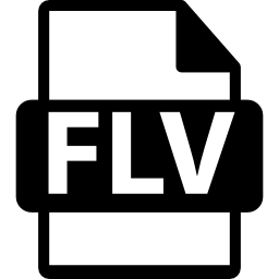 symbole de format de fichier flv Icône