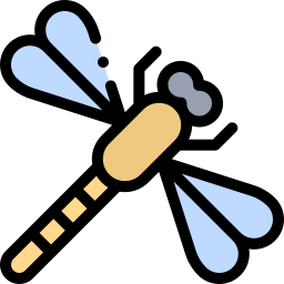 Dragonfly icon