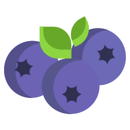 Blueberry icon