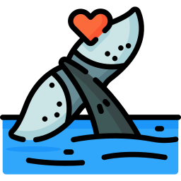 Whale icon