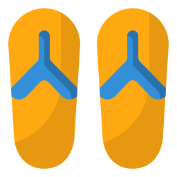 Flip flops icon