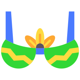 Bra icon