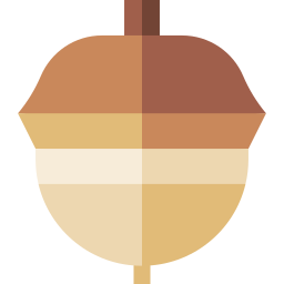 Acorn icon