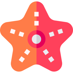 Starfish icon