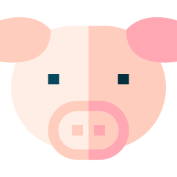 Pig icon