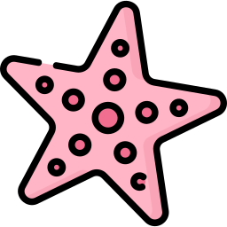 Starfish icon