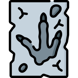 Footprint icon