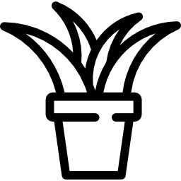 aloe icon