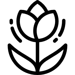 tulpe icon