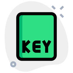 Key icon