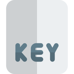 Key icon