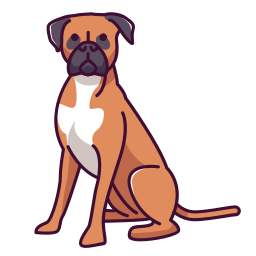 boxer icon