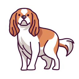 kavalier könig charles spaniel icon