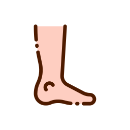 Foot icon