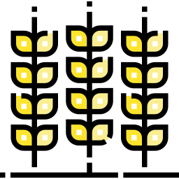 Wheat plant icon