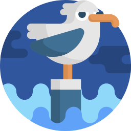 möwe icon