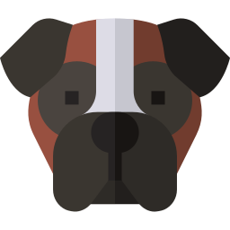 Boxer icon