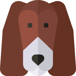 springer spaniel icon