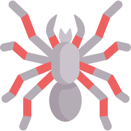 Tarantula icon