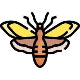 Moth icon