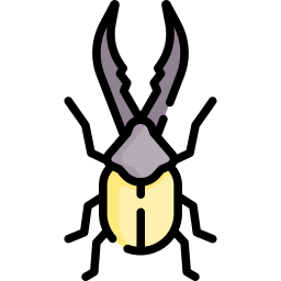 Insect icon