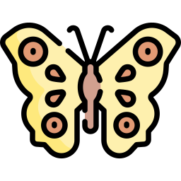 papillon Icône