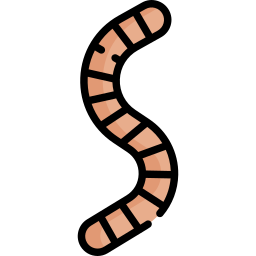 Worm icon