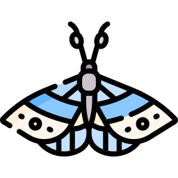 Moth icon