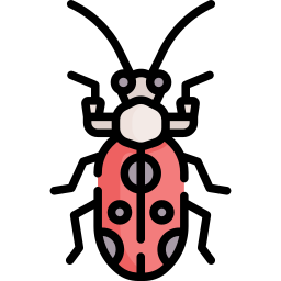 Insect icon