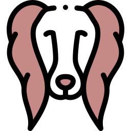 spaniel icon