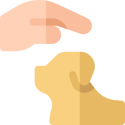 hundetraining icon