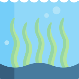 Seaweed icon