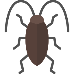 Cockroach icon