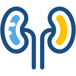 Kidneys icon