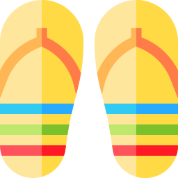 flip flops icon