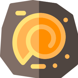 Fossil icon