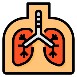 Lung icon