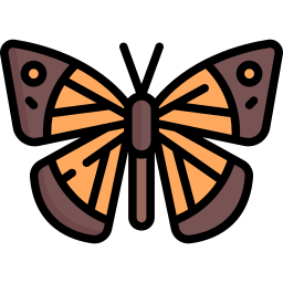 motyl ikona