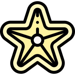 Starfish icon