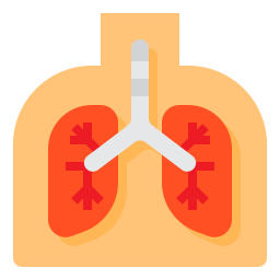 Lung icon